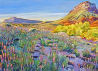 Arizona Desert Spring Blossoms
Greg Heil
45" x 62"
oil on canvas
$9775