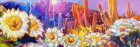 Saguaro Blossom Prism
Greg Heil 
12" x 36"
oil on canvas
$1250