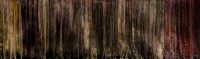 The Earth's Crust
Scott Connelly
24" x 80" x 2
acrylic on panel
$900