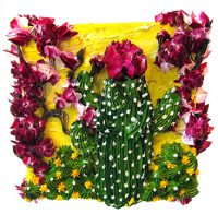 Cactus Flowers I
Allison Roy
6" x 6" canvas
acrylic on canvas
$170