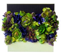 Succulents 3
Allison Roy 
6" x 6" canvas
acrylic on canvas
$170