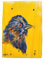 Spotted Towhee
Anneliese Chittock
7" x 5"
mixed media on panel
$95