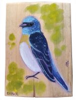 Lazuli Bunting
Anneliese Chittock
7" x 5"
acrylic on wood
$95