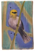 Verdin
Anneliese Chittock
7" x 5"
acrylic and mixed media on wood
$95