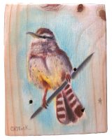 Cactus Wren
Anneliese Chittock
7" x 5"
acrylic and mixed media on wood
$95