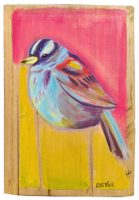 White Crowned Sparrow on Green
Anneliese Chittock
7" x 5"
acrylic and mixed media on wood
$95