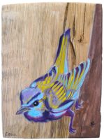 Red Eyed Vireo
Anneliese Chittock
7" x 5"
acrylic and mixed media on wood
$95