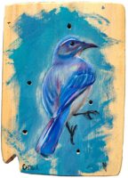California Scrub Jay
Anneliese Chittock
7" x 5"
acrylic and mixed media on wood
$95