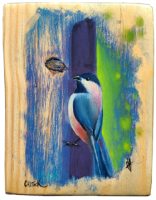 Canada Chickadee
Anneliese Chittock
7" x 5"
acrylic and mixed media on wood
$95
