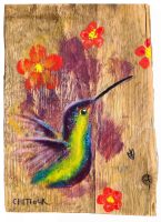 Ruby-Throated Hummingbird
Anneliese Chittock
7" x 5"
mixed media on panel
$95