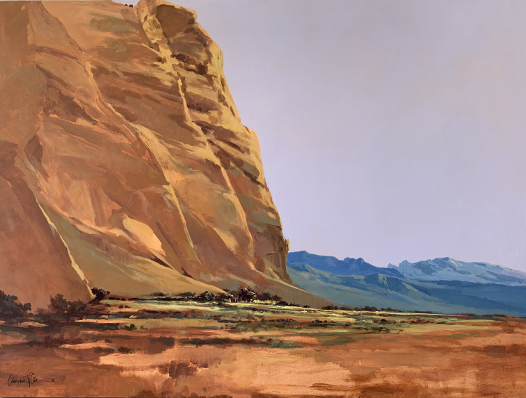 Summer Shelter by