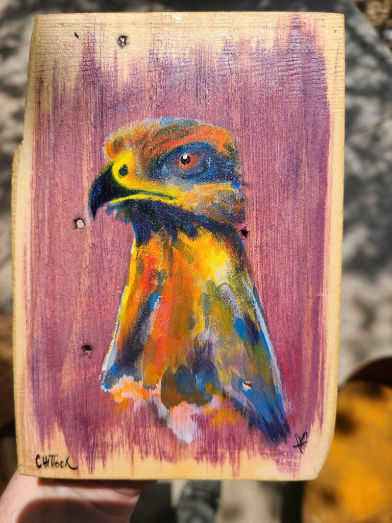 Savanna Hawk by