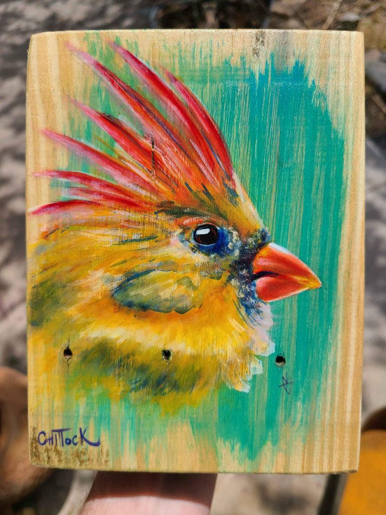 Northern Cardinal by