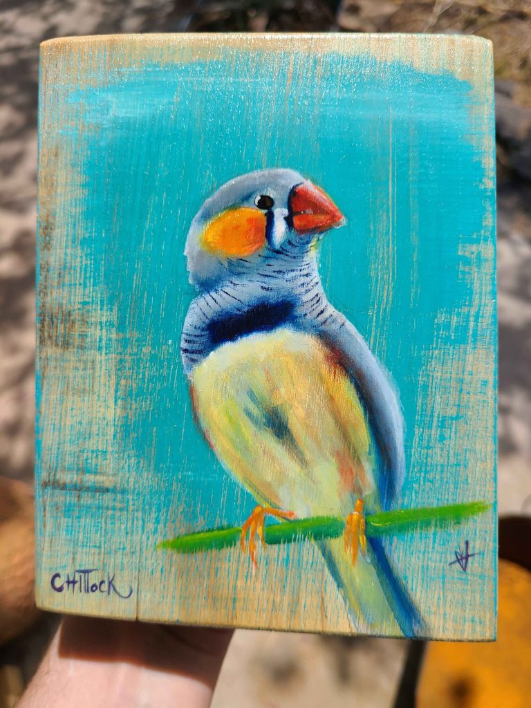 Zebra Finch by