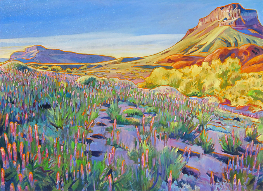 Arizona Desert Spring Blossoms by